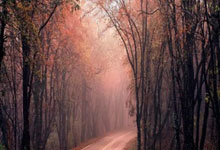 [德甲]第12轮：霍芬海姆1-1美因茨 集锦.