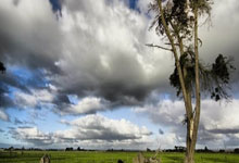 里程碑！86球14助，弗拉霍维奇在意甲已直接参与100球.