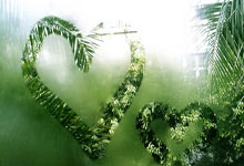 铁人，孔德自年月以来没有缺席过俱乐部和国家队比赛.