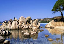 [德甲]第5轮：拜仁慕尼黑VS勒沃库森.